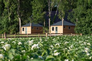 overnachten in Drenthe